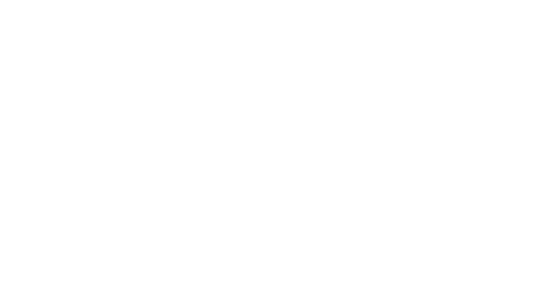 Logo programa Zoom